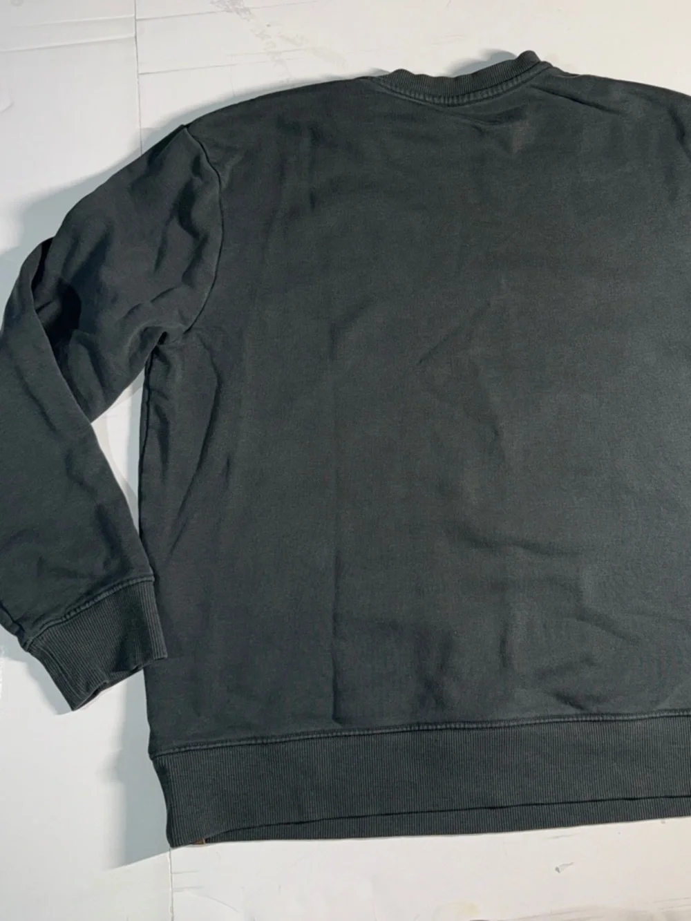 tentree Men's Crewneck Sweatshirt in green with Tan Patch